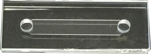 100 µm Dummy Chip